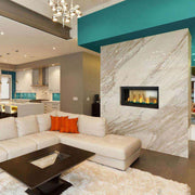 Napoleon Vector 38 See-Through Direct Vent Electronic Ignition Natural Gas Fireplace - LV38N2-1