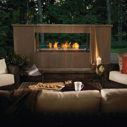 Napoleon Galaxy 48 Outdoor Linear See Through Electronic Start Gas Fireplace - GSS48STE