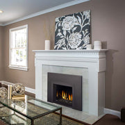 Napoleon OAKVILLE 3 Direct Vent Natural Gas Fireplace Insert - GDI3N-1