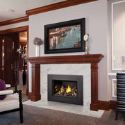 Napoleon OAKVILLE X3 Direct Vent Electronic Ignition Natural Gas Fireplace Insert - GDIX3N-1