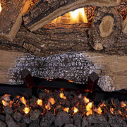 Grand Canyon Gas Logs 24
