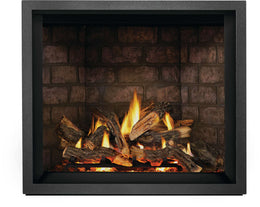 Napoleon Elevation X 42 direct vent natural gas fireplace EX42NTEL | Wood Fire Home